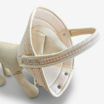 개놀자 강아지 엔젤링 가드 노견 충돌방지 시각장애견 머리보호 : 개놀자펫