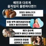 고함량 난각막 엘라스틴 가수분해물 nem 보스웰리아 정 600mg 60정(6개 6달분) : 가나다리빙
