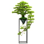 인조 모형 분재 나무 화분 조화 인테리어  장식 소나무 : maplestore