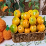 제철과일 노지감귤 타이벡 조생귤 제주감귤농장 제주도귤택배 3kg 5kg 10kg : 아빠는 과일대장