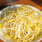 무농약 국내산 산소 콩나물 1kg/2kg : 청춘팔도