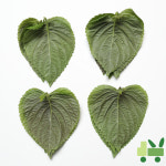 찹찹이 깻잎 (2상자) 2kg : 사라상회