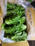 (국내산) 청상추 2kg 상추 1박스 정품 당일 작업 발송 : 푸른농산 야채