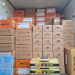 제주 고당도 레드향 농장 제철 가정용 선물세트 : 제주더함