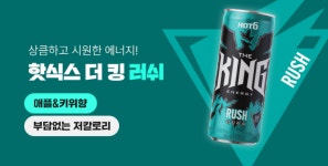 핫식스 더킹 355ml 12캔 포스 러쉬 제로 파워 퍼플 크러쉬피치 각2캔 에너지음료 고카페인 음료수 : 지원마트