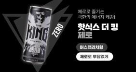 핫식스 더킹 355ml 12캔 포스 러쉬 제로 파워 퍼플 크러쉬피치 각2캔 에너지음료 고카페인 음료수 : 지원마트