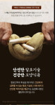 (주)금강웰빙푸드 영광와이케이엠씨 둔포 | 국내산100%발효참옻진액 옻안타 150ml 25봉 : 영광웰빙푸드