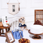 [대여] 강아지 생일파티 고양이 생일상 돌잔치 애견 용품 세트 전통블루 : 댕데이