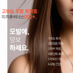 이지후비너스002+ 고단백질 극손상홈클리닉 : 주식회사이지후그린과학