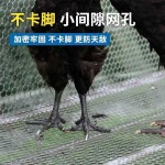 조립식 닭장 케이지 철망 새장 사육장 야외 양계장 : 을지로공장