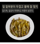 1970년대 보경호 특상 보이차 : 다영상사