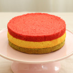 장가네제과 수제 케이크시트 (레인보우/3색미니) [노오븐 케이크만들기 홈베이킹 DIY케이크] : 장가네제과