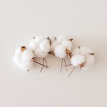 목화꽃 목화솜 머리 인테리어 조화 리스 크리스마스 재료 : 라탄포레스트