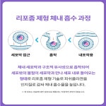 리포 약국 콜라겐 약6달분 음식 : 인셀덤 and 싱싱몰