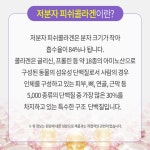 리포 약국 콜라겐 약6달분 음식 : 인셀덤 and 싱싱몰