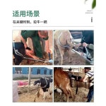 암소 출산 보조기 집게 송아지 분만 젖소 난산 산파 : 직구서창