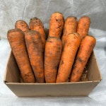 6시내고향 지워니네농장 국산 제주 구좌 흙당근 햇당근 산지직송 5kg 10kg 주스용 백화점 선물용 왕 상특 중 : 제주구좌당근