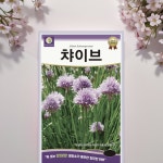 차이브 씨앗 다년생 허브 식용 꽃 씨 1g : 행복한써니스토어
