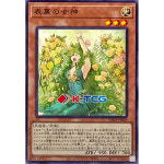 유희왕 일본판 표리의여신 (SUDA-JP029) Normal : K-TCG