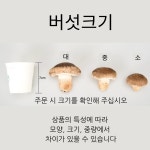 솔송고버섯 대품 1kg 국내산 송이맛 표고버섯 친환경 무농약 대관령 : 강릉표고버섯농장