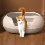 딩동펫 고양이 캡슐형 반밀폐 샌딩볼 화장실 : 딩동펫