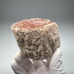 나무 화석(pe1) 규화목 Petrified wood Fossil 화석표본 중생대 백악기 : 석보 코리아