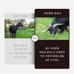 흑염소 즙 진액 혼합추출액 홍삼액 자연방목 70g : 수상한 알약상점