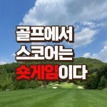 강남 골프레슨 숏게임 필드레슨 파3 : 배밀리골프스튜디오