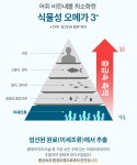 에버그린 메가프로 식물성 알티지 오메가3 1010mg x 30캡슐 2개 / 3개 : 공스생활건강