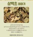 삼백초 차 국산 말린 건 삼백초잎 원물 효능 200g 3팩 : 자유장터