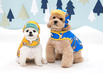 피너츠 백허그 패딩 모자 세트 S-3XL 벨크로 빛반사 야간산책 : 미우바우 MeowBaw