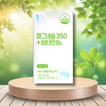 [약국전용] 비타민하우스 마그네슘350 플러스 비타민 B6 90정 3개월분 1박스 : 버몬트리