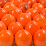 다정팜 고창 대봉감 홍시 곶감용 대봉시 단감 5kg 10kg : 다정팜