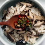 솔송고버섯 소 1kg 국내산 송이맛 표고버섯 친환경 무농약 대관령 : 강릉표고버섯농장