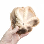 바다냄새 냉동 왕쭈꾸미 대용량 5kg 200-300g사이즈 손질/세척 베트남 식당 업소용 : 바다냄새
