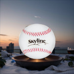 프로 야구 공인구 KBO 공인구 시합구 야구공 : 스프리샵