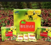 천년초 이기영 박사 고창 황토 천년초 즙 1달치 70mg 30포 3달 198000원 : 이기영천년초