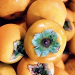 장성 차량단감 10kg 특대중소과 청년농부 가족공원 산지직송 가정용 선물용 : 장성 들녘길농원