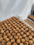 미니초코칩쿠키 약132g 한입쿠키 수제디저트 답례품 결혼식 유치원 돌 기업 선물세트 : 행운담디저트