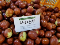 송산보은대추농장 | [햇건대추/24-26mm] 믿고 먹는 속리산파파농장 보은대추 1kg 생산자 직접판매 : 보은대추사과 파파농장