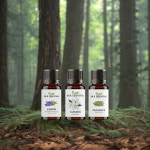 감정 오일 테라피 심신 안정 향 아로마 오일 향기 테라피 10ml 3종 : FORYOU마켓