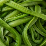 아삭아삭한 특A급 손질 절단 궁채나물 1kg / 절단 불림 진공포장 : 시크릿테이블