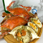 봉선장 25년 햇꽃게 당일조업 봄꽃게 서해안 활 알배기 햇 봄암꽃게 1kg : 봉선장