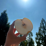 제철 고당도 배 가정용 김장용 국내산 신고 상 등급 6-14과 4kg내외 : 익산원예농협 농협이마켓