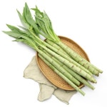 생궁채 나물 국내산 프리미엄 생 궁채 상추대 줄기상추 궁채나물 뚱채 1kg : 싱싱투데이 농수산