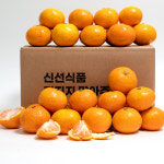 용용 고당도 타이벡 감귤 프리미엄 서귀포 제주산 : 용용후르츠