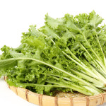 당일수확 치커리 쌈채소 샐러드치커리 2kg, 1개 : 토마토아가씨