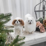 반려견 양모펠트 전신 강아지 반려동물 맞춤 제작 인형 펠트 : 솜이 공방
