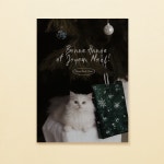 [몽쁘띠샤] 크리스마스 고양이 엽서 4종 carte postale chat noël : 몽쁘띠샤