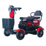 장애인 전동스쿠터 배터리 마실 오토바이 부모님 선물 2인승 650W+48V20AH납산 : 글로벌샵핑1